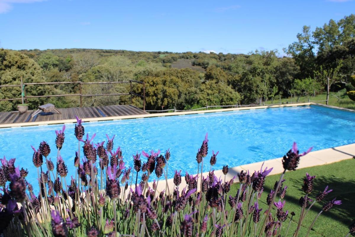 Quinta Da Devesa -B2 Hotel Vinhais Exterior photo